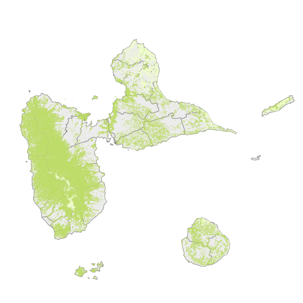 Occupation thématique à partir de la couche des forêts de Guadeloupe 1950